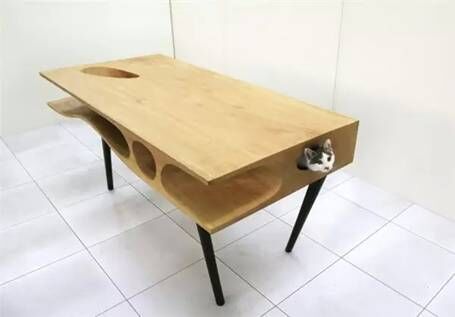 WDCMϴͼƬ