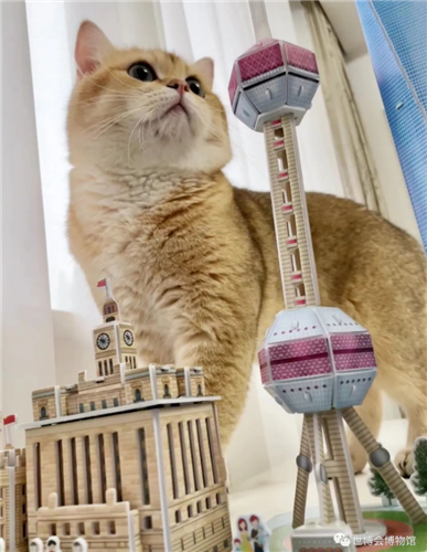 WDCMϴͼƬ