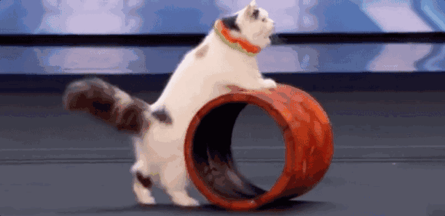 ΢ͼƬ_20221128110557.gif