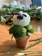˵:ͼƬ